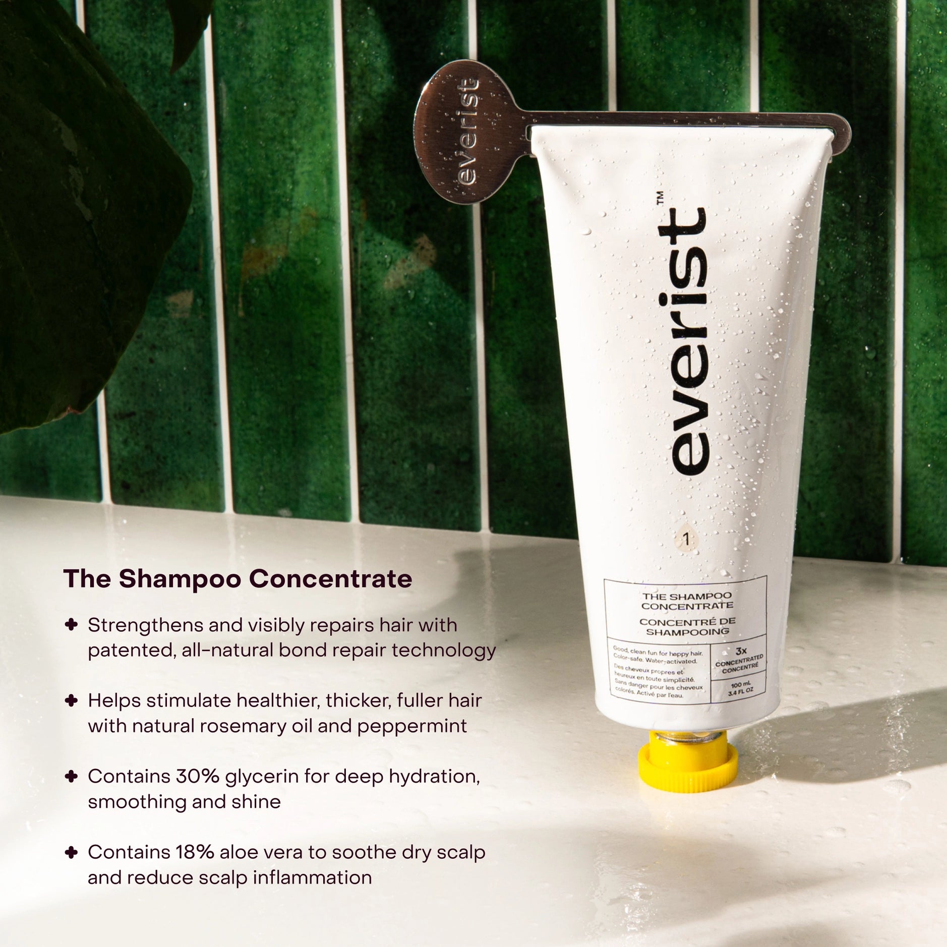 Everist Shampoo Concentrate